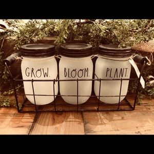 Rae Dunn mason jars lights